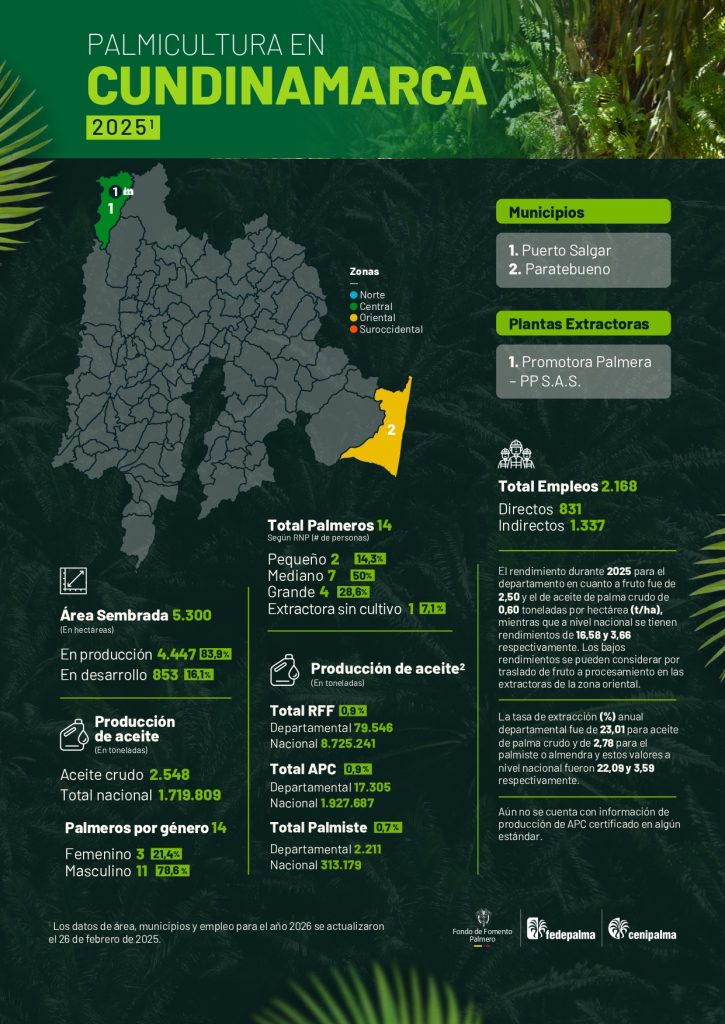 Mapa del departamento de Cundimarca que muestra la distribución y principales datos sobre la producción de palma de aceite en la región, incluyendo áreas cultivadas, municipios productores y cifras representativas del sector palmicultor.