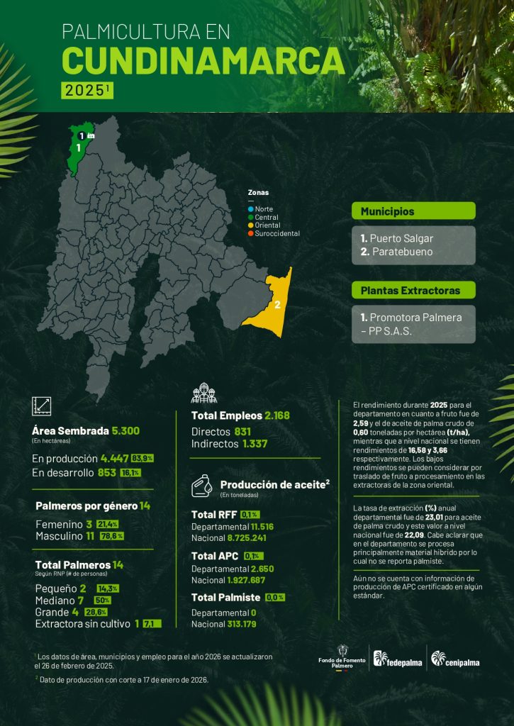 Mapa del departamento de Cundimarca que muestra la distribución y principales datos sobre la producción de palma de aceite en la región, incluyendo áreas cultivadas, municipios productores y cifras representativas del sector palmicultor.