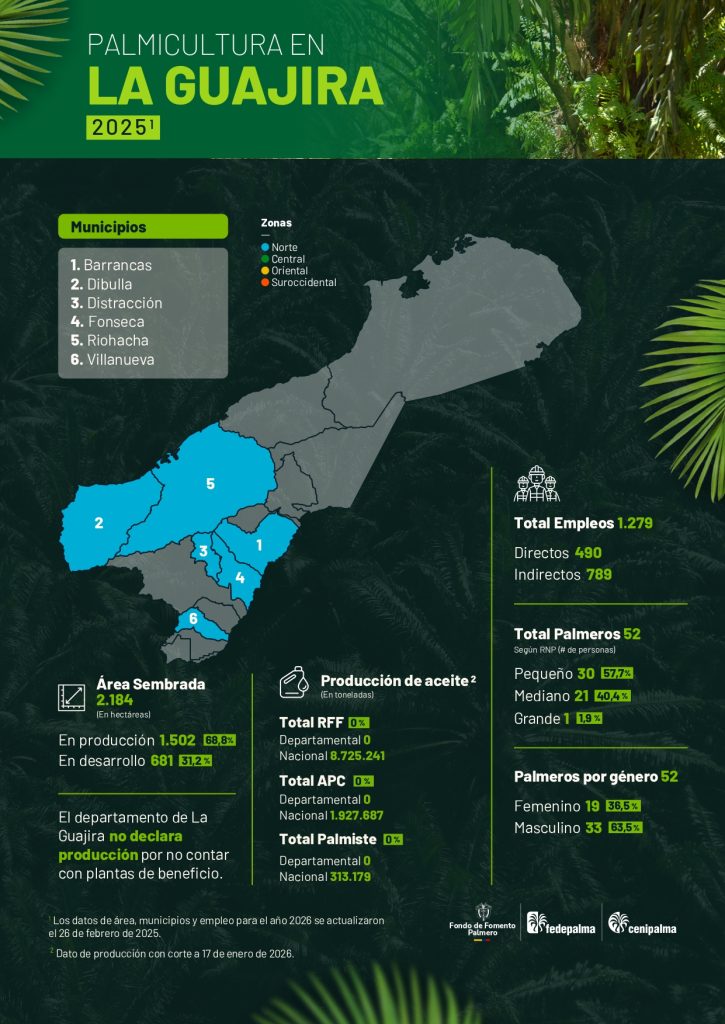 Mapa del departamento de La Guajira que muestra la distribución y principales datos sobre la producción de palma de aceite en la región, incluyendo áreas cultivadas, municipios productores y cifras representativas del sector palmicultor.