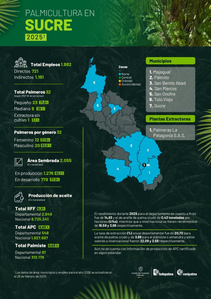 Mapa del departamento de Sucre que muestra la distribución y principales datos sobre la producción de palma de aceite en la región, incluyendo áreas cultivadas, municipios productores y cifras representativas del sector palmicultor.