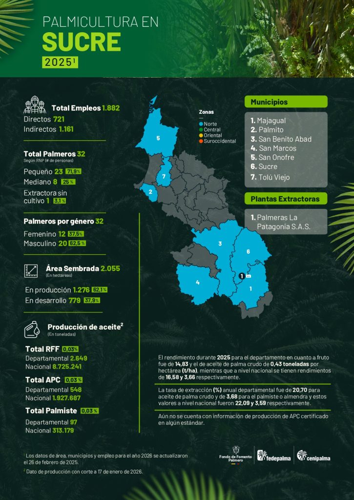 Mapa del departamento de Sucre que muestra la distribución y principales datos sobre la producción de palma de aceite en la región, incluyendo áreas cultivadas, municipios productores y cifras representativas del sector palmicultor.