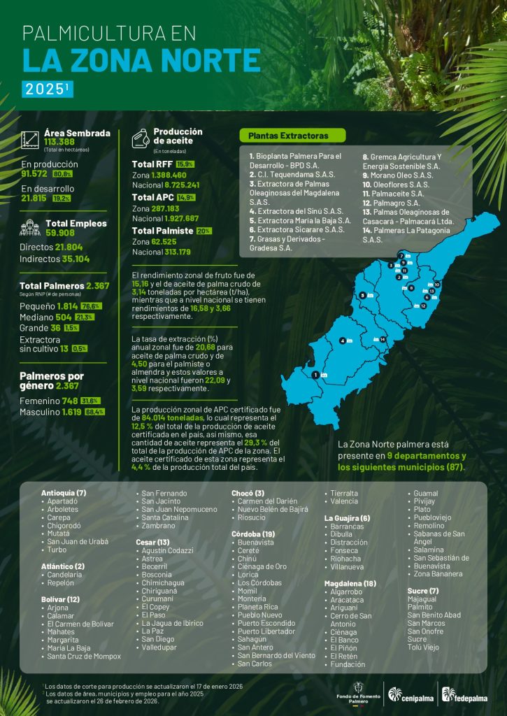 Infografia sector palmero colombiano - Zona norte 