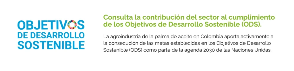 Objetivos sostenibles