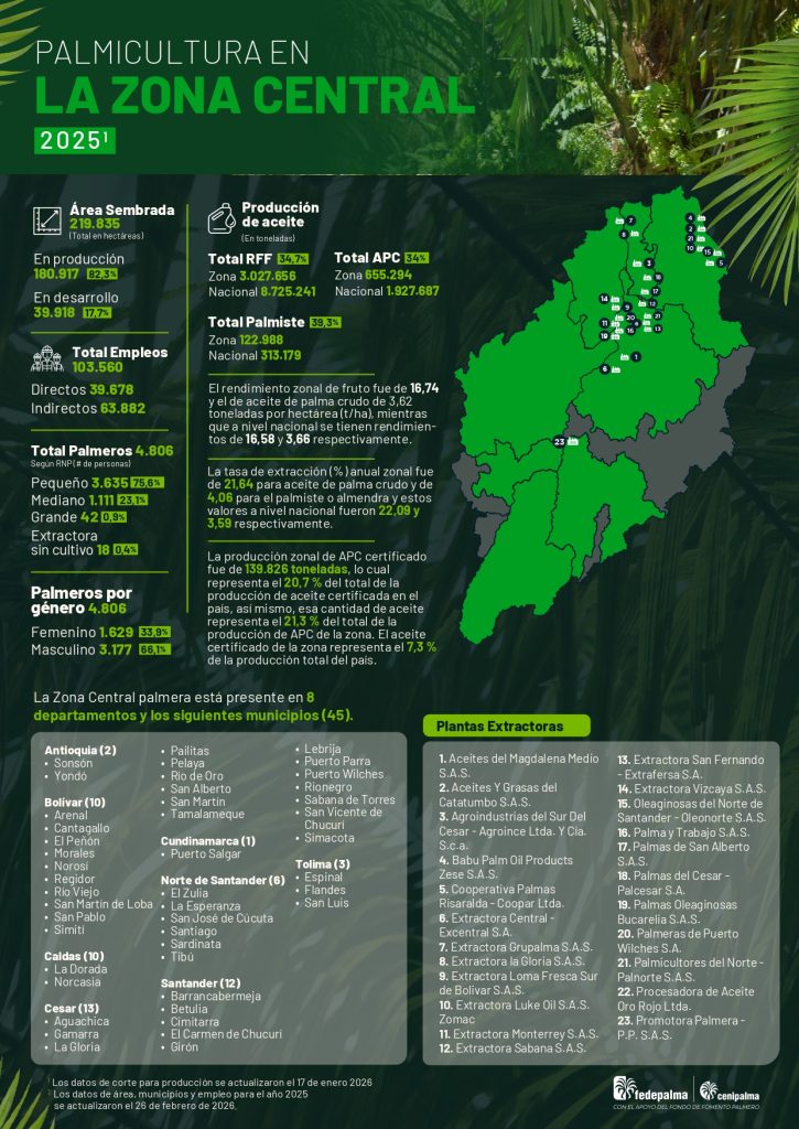 Infografía palma de aceite en Colombia - Zona central