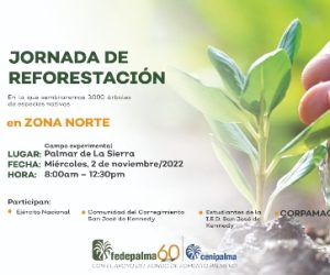 PIEZA JORNADA DE REFORESTACIÓN PALMAR DE LA SIERRA 2022